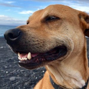 Meet your Posher, Veronica